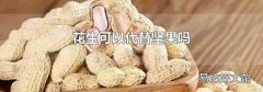 花生可以代替坚果吗