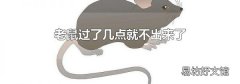 老鼠过了几点就不出来了