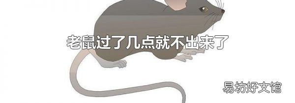 老鼠过了几点就不出来了