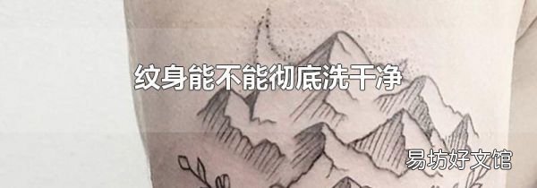 纹身能不能彻底洗干净