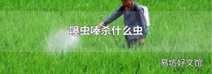 噻虫嗪杀什么虫