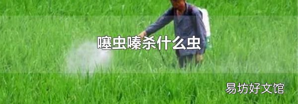 噻虫嗪杀什么虫