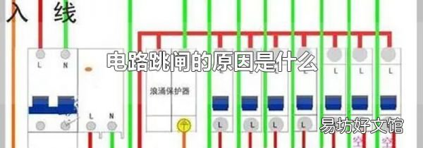 电路跳闸的原因是什么