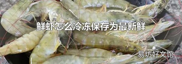鲜虾怎么冷冻保存为最新鲜