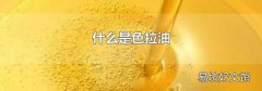 什么是色拉油