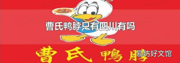 曹氏鸭脖只有四川有吗