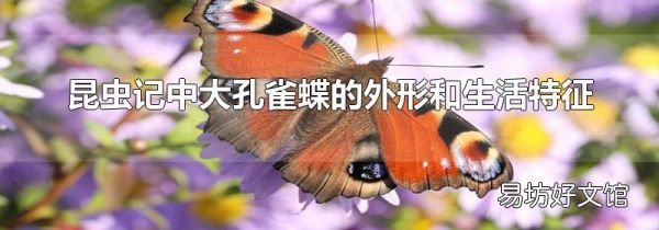 昆虫记中大孔雀蝶的外形和生活特征