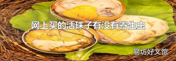 网上买的活珠子有没有寄生虫