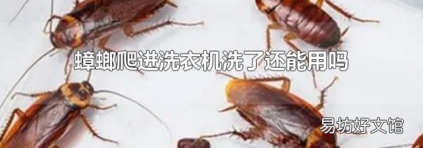 蟑螂爬进洗衣机洗了还能用吗