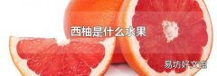 西柚是什么水果