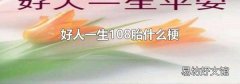 好人一生108胎什么梗