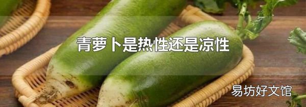 青萝卜是热性还是凉性