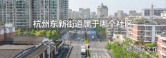 杭州东新街道属于哪个社区