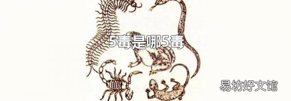 5毒是哪5毒