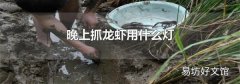 晚上抓龙虾用什么灯