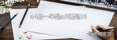 a4的一半是a5还是b5