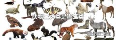 动物三大类是哪三类