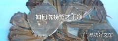 如何洗螃蟹才干净