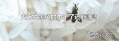 大米生黑色的虫子了还能吃吗