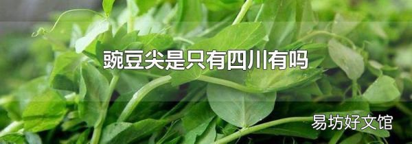 豌豆尖是只有四川有吗