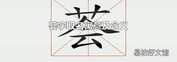 荟字取名寓意及含义