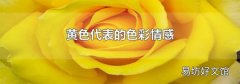 黄色代表的色彩情感