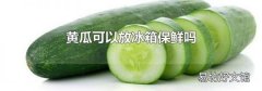 黄瓜可以放冰箱保鲜吗