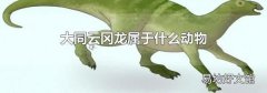 大同云冈龙属于什么动物