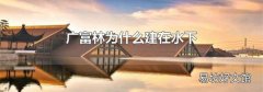 广富林为什么建在水下