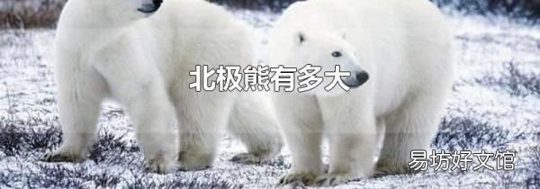 北极熊有多大