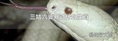 三姑六婆开过什么生肖