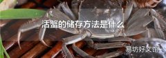 活蟹的储存方法是什么