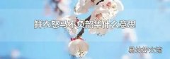 鲜衣怒马不负韶华什么意思