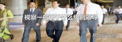视察一般用于什么级别领导
