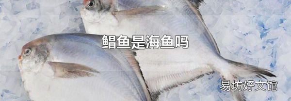 鲳鱼是海鱼吗