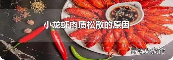 小龙虾肉质松散的原因