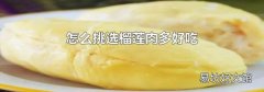 怎么挑选榴莲肉多好吃