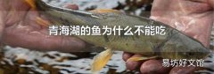 青海湖的鱼为什么不能吃