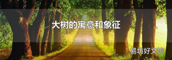 大树的寓意和象征