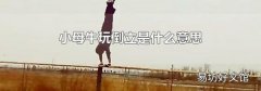 小母牛玩倒立是什么意思