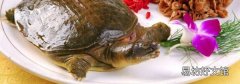 甲鱼死了一天了还能不能吃