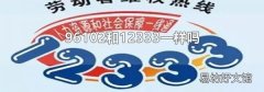 96102和12333一样吗