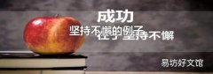 坚持不懈的例子