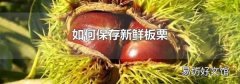 如何保存新鲜板栗