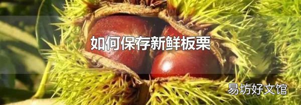 如何保存新鲜板栗