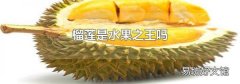 榴莲是水果之王吗
