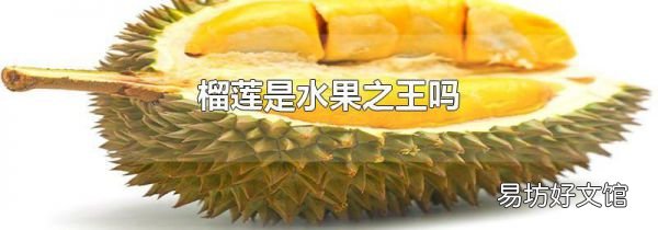 榴莲是水果之王吗