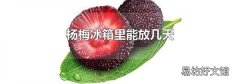 杨梅冰箱里能放几天