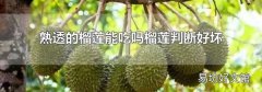 熟透的榴莲能吃吗榴莲判断好坏