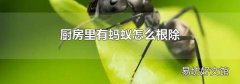 厨房里有蚂蚁怎么根除